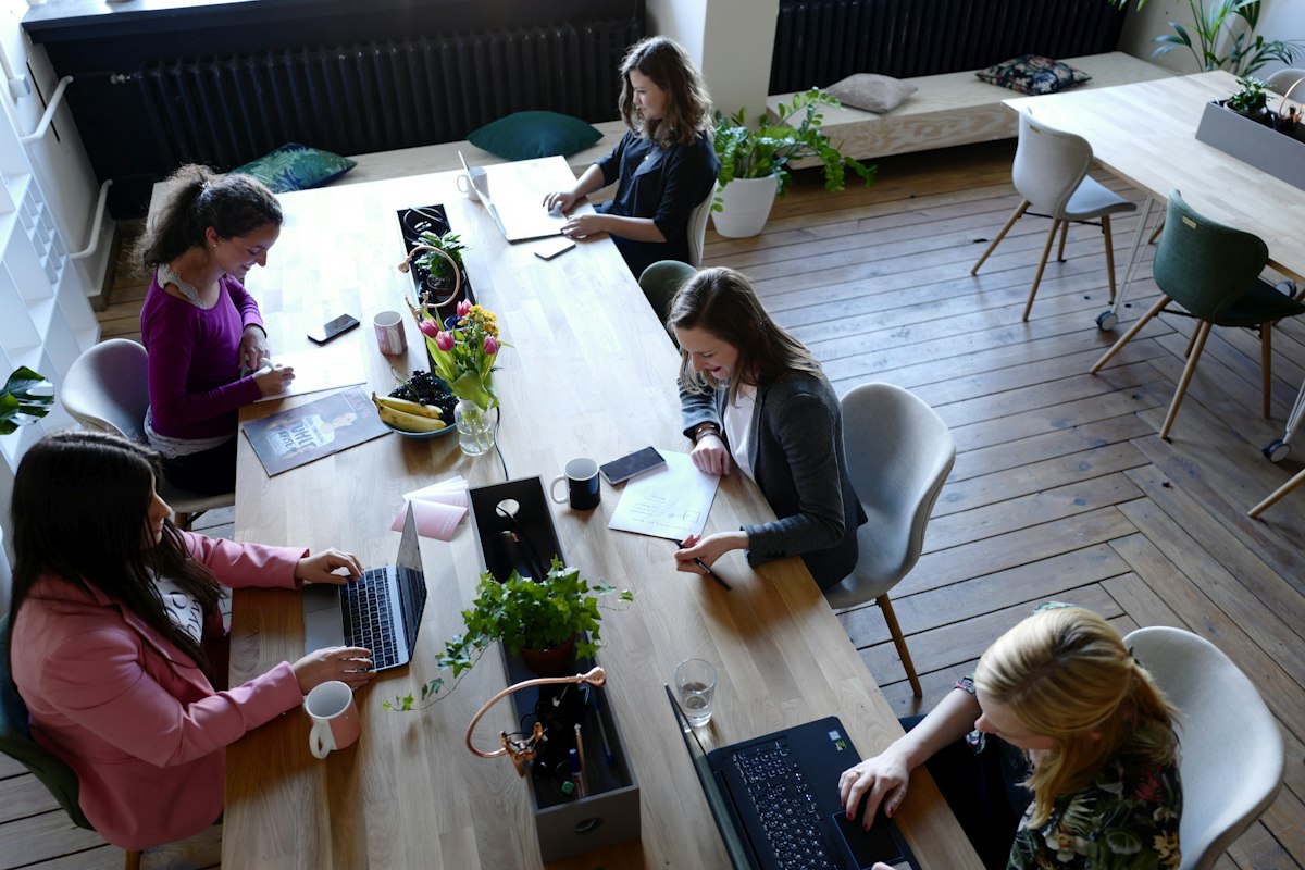 Start-Up Chile da hasta $75 millones a 65 startups en NIDO Lucía, pero sus cinco rubros solo cubren el 69 % de ellas